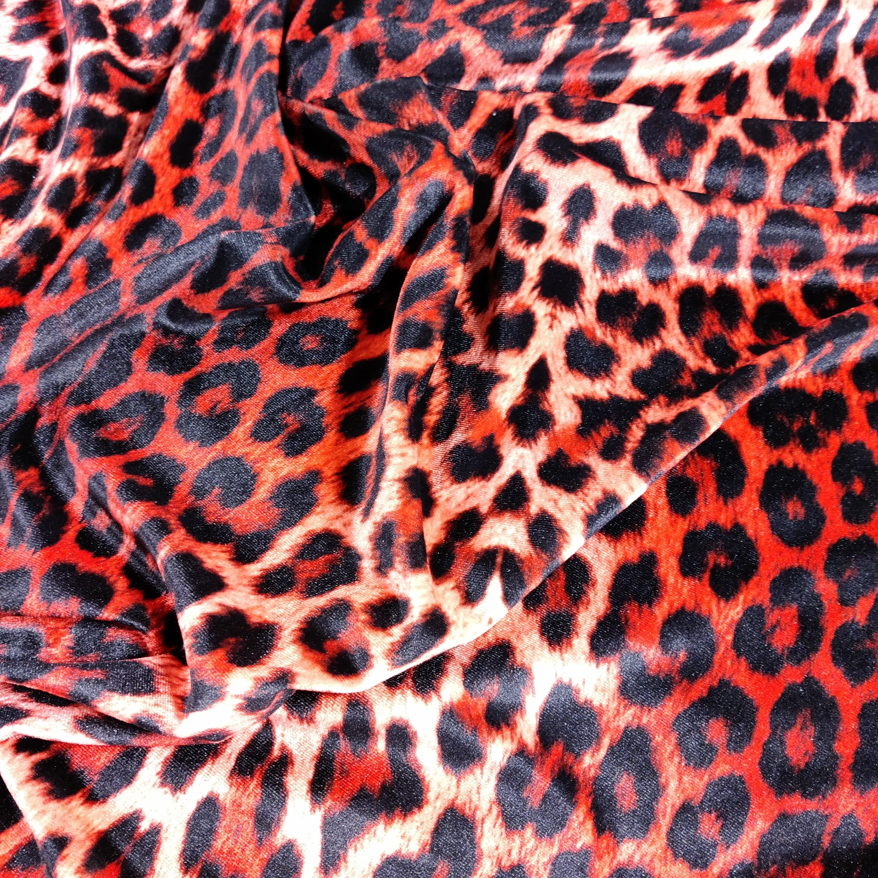 FS005_6 Red Leopard