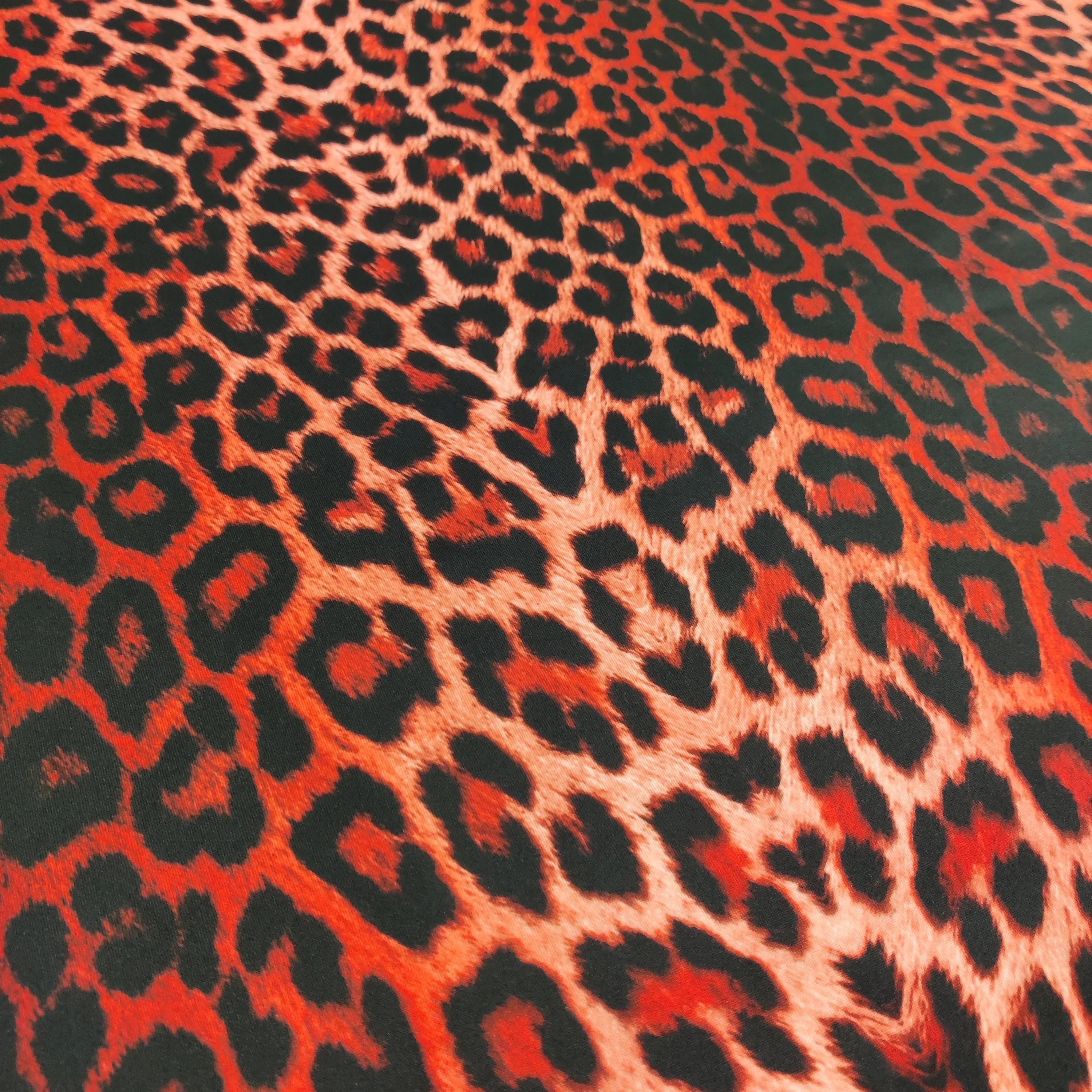 FS005_6 Red Leopard