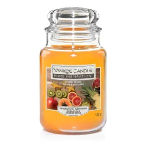 Home Inspiration Large Candle - Exotic Fruits