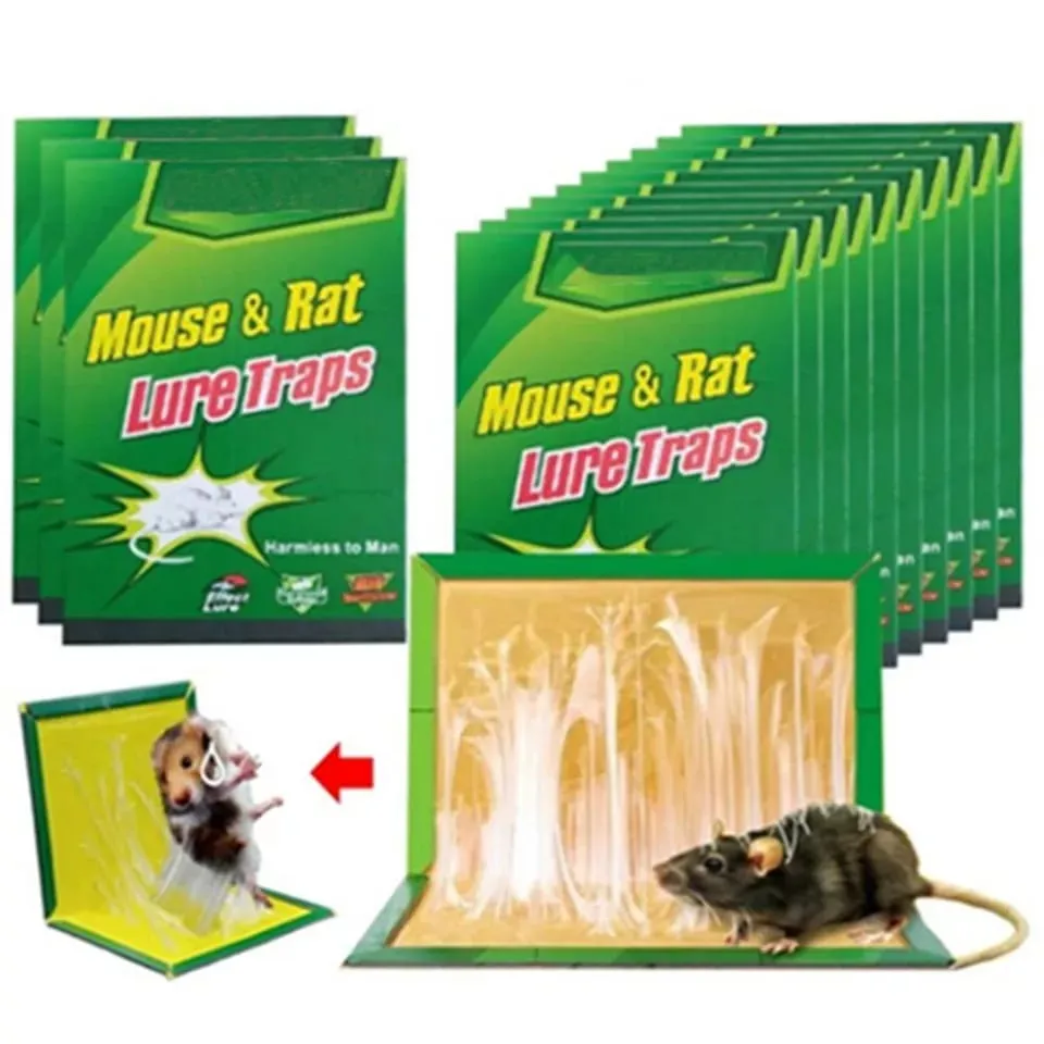 Mouse and Rat Glue Board  (Book Type)